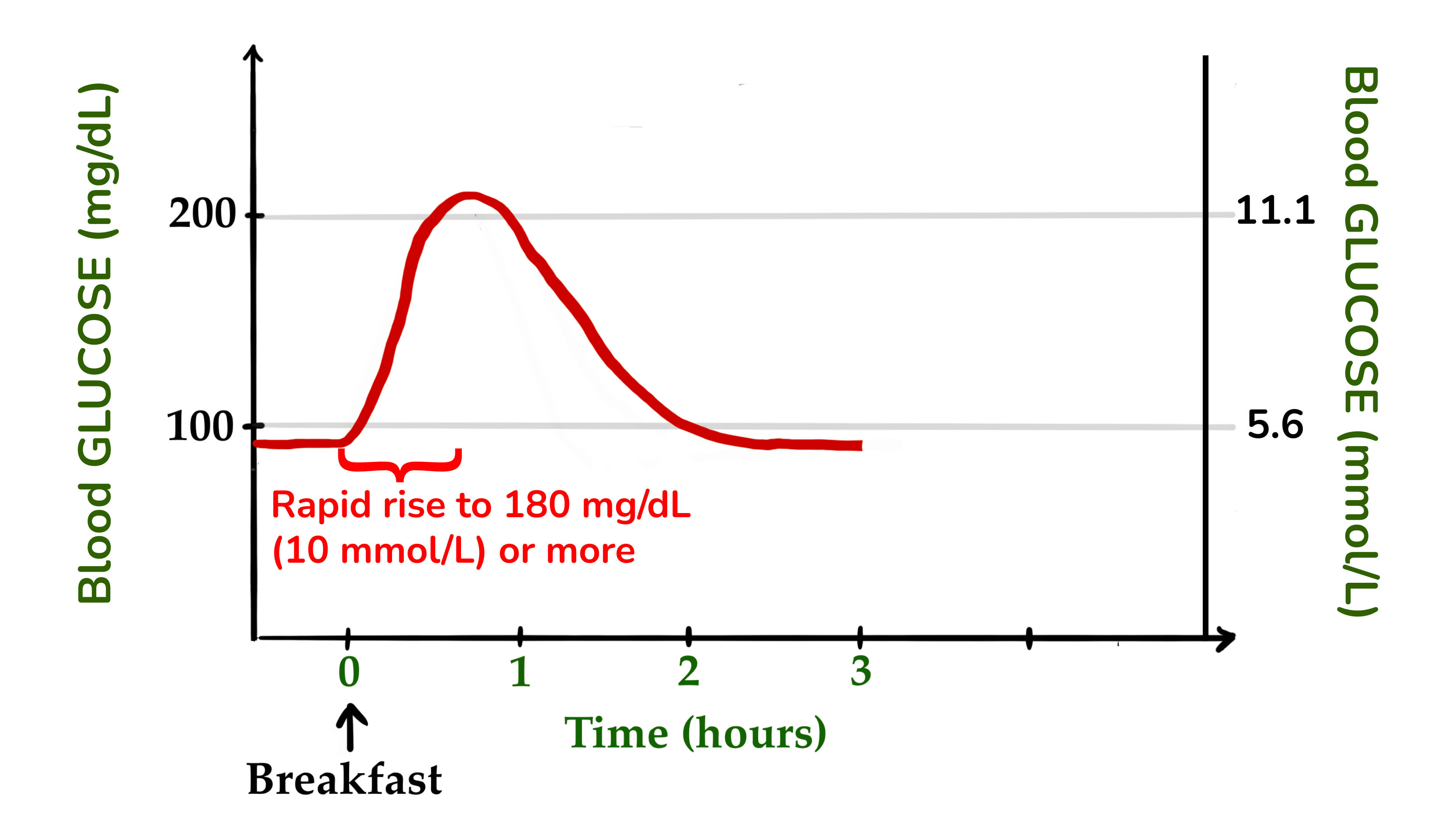 血糖水平快速上升至 180 mg/dL (10 mmol/L) 的浓度可能表明第一阶段胰岛素反应减弱，即进餐早期 β 细胞功能降低。