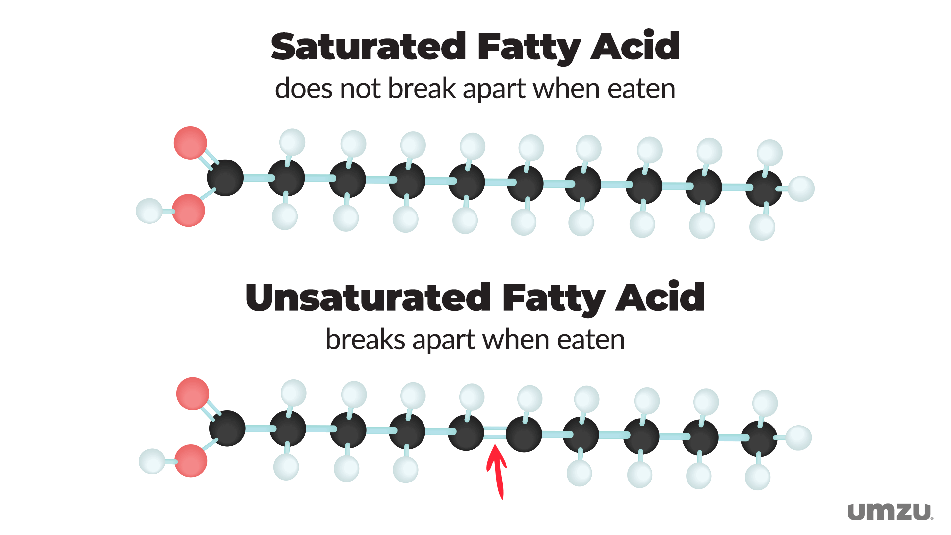 多不饱和脂肪 多不饱和脂肪