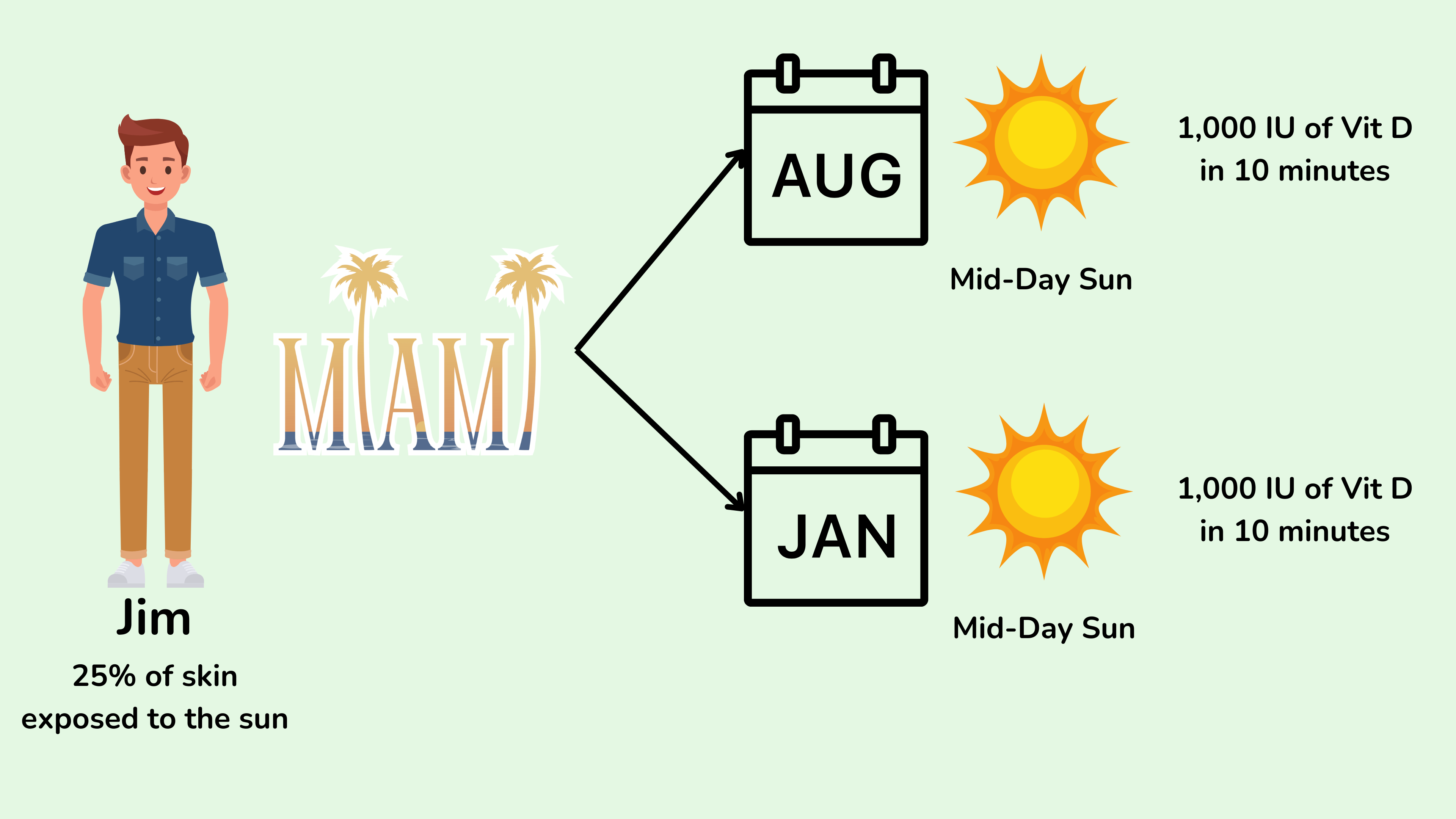 佛罗里达州迈阿密的皮肤维生素 D 合成 佛罗里达州迈阿密的皮肤维生素 D 合成