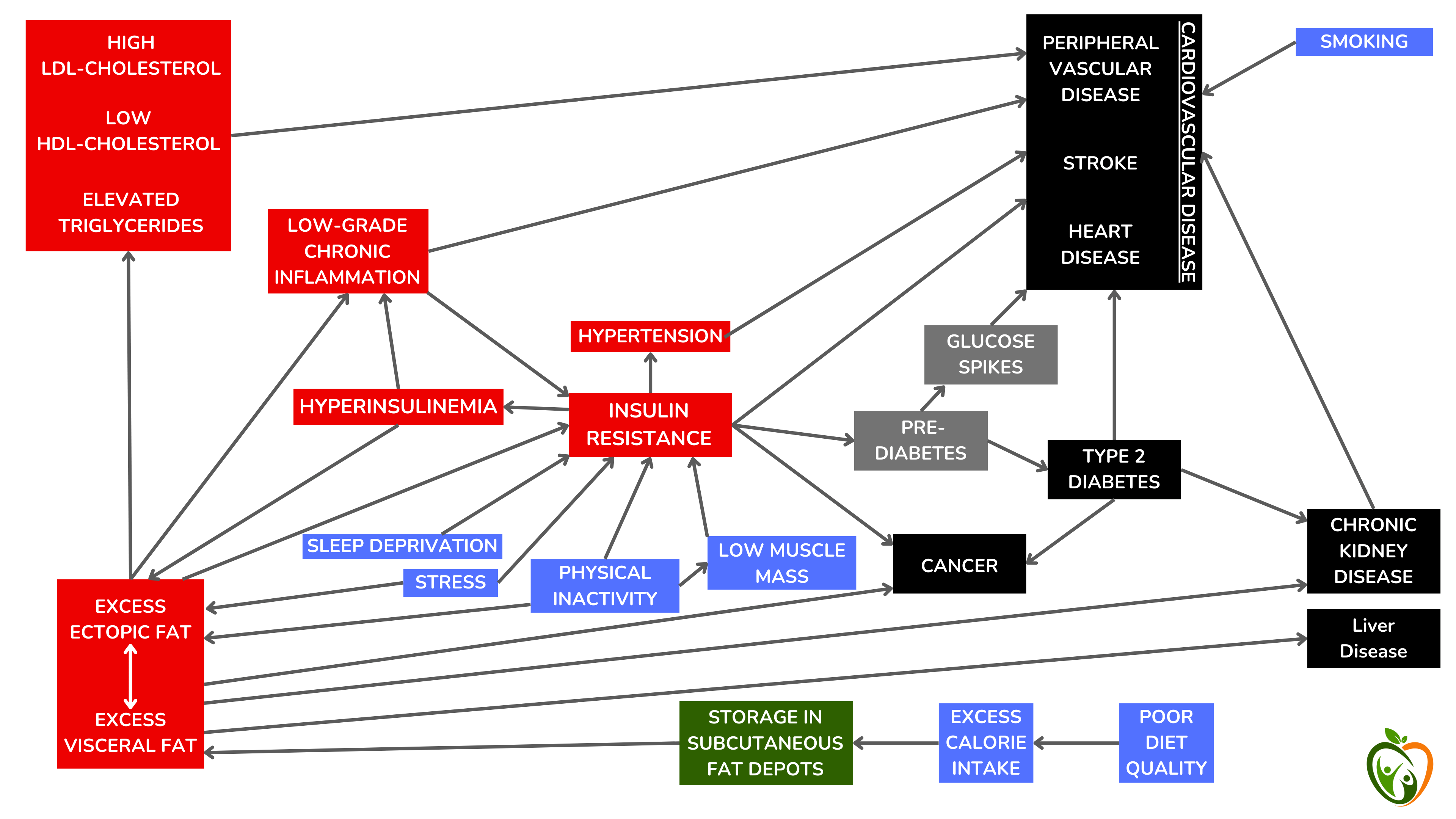 胰岛素抵抗综合征(红色)、其最常见的根本原因(蓝色)及其后果(黑色)。 胰岛素抵抗综合征(红色)、其最常见的根本原因(蓝色)及其后果(黑色)。