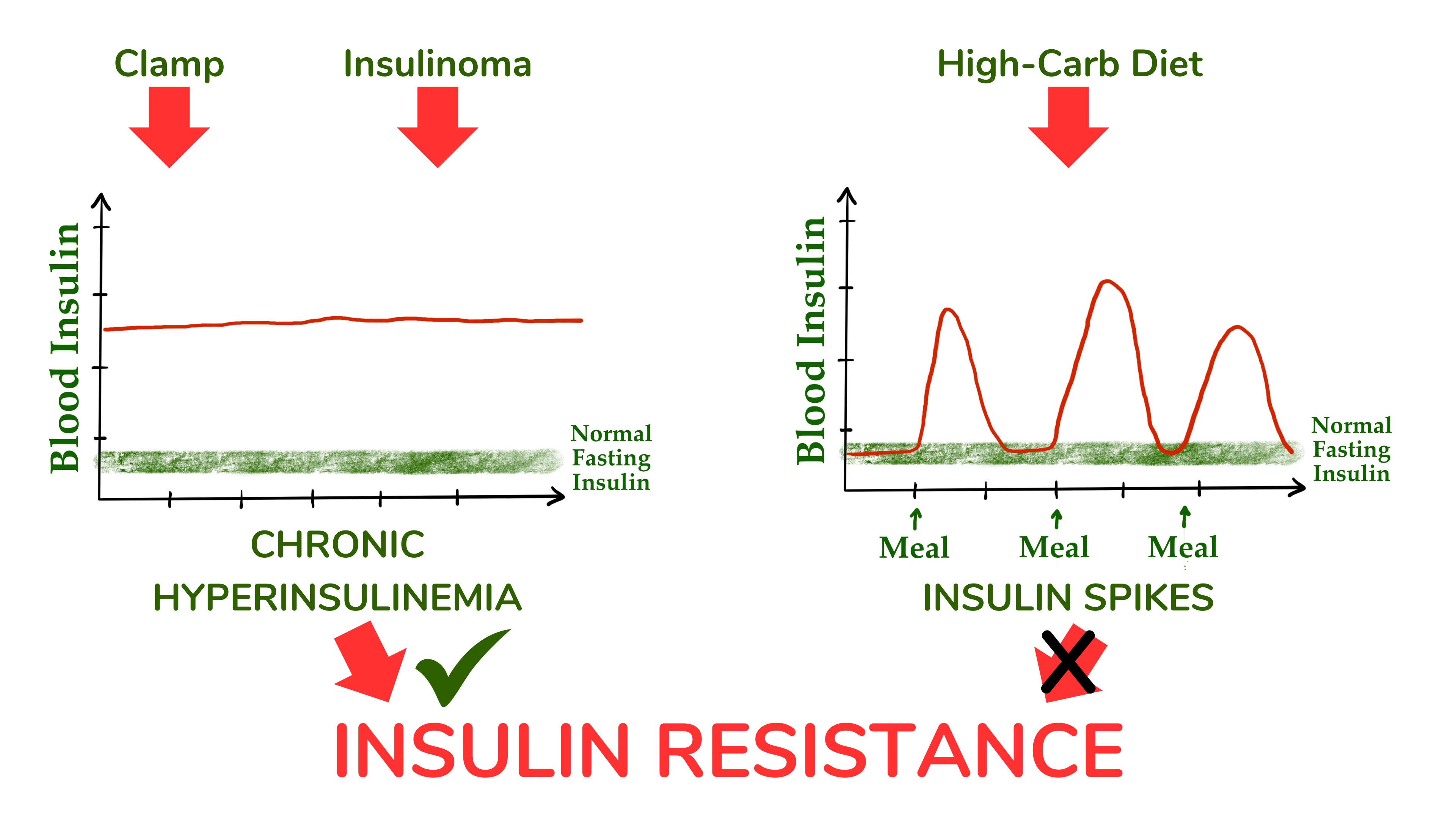 虽然慢性高胰岛素血症(如钳夹研究或胰岛素瘤患者所见)似乎会导致胰岛素抵抗,但对于因摄入高碳水化合物饮食而导致的胰岛素暂时增加似乎并非如此。 虽然慢性高胰岛素血症(如钳夹研究或胰岛素瘤患者所见)似乎会导致胰岛素抵抗,但对于因摄入高碳水化合物饮食而导致的胰岛素暂时增加似乎并非如此。