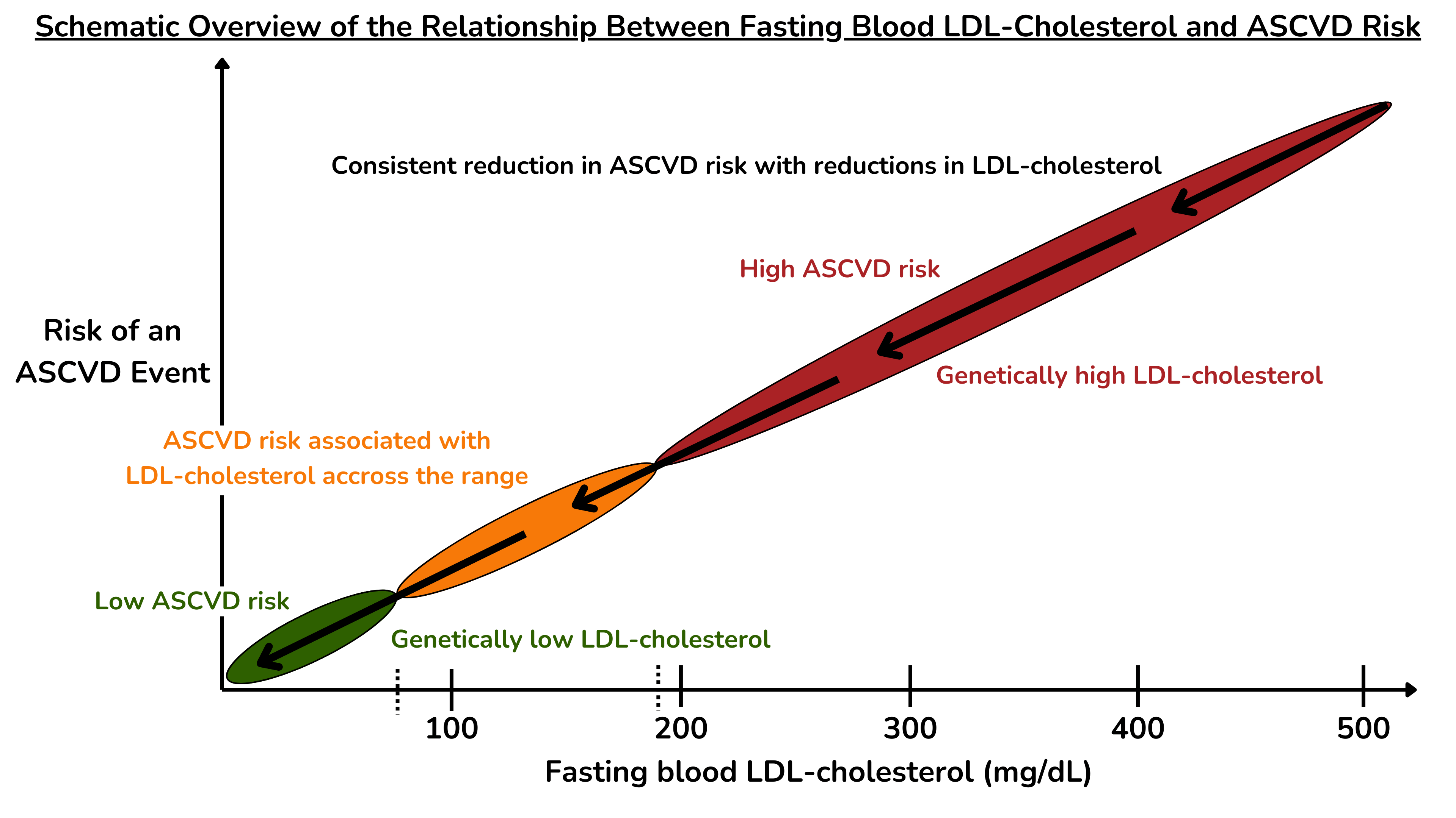 基于遗传、观察性和干预研究,示意图概述了血清 LDL 胆固醇水平与 ASCVD 风险之间的关系。 基于遗传、观察性和干预研究,示意图概述了血清 LDL 胆固醇水平与 ASCVD 风险之间的关系。