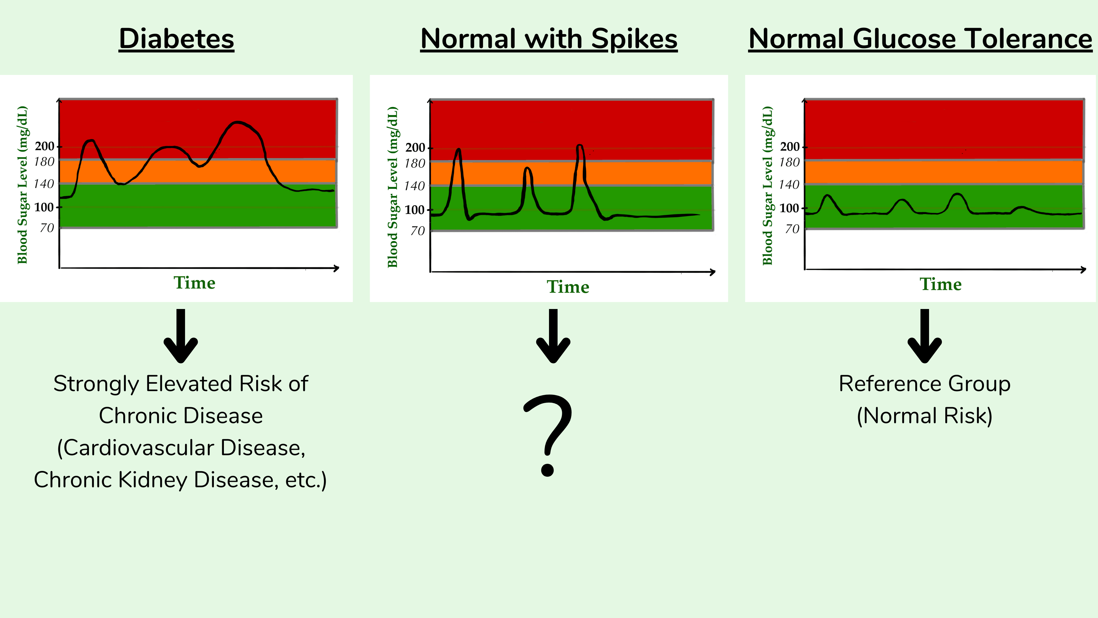 正常葡萄糖耐量的健康后果,大部分是正常的血糖水平,但有规律的峰值,以及明显的糖尿病 正常葡萄糖耐量的健康后果,大部分是正常的血糖水平,但有规律的峰值,以及明显的糖尿病