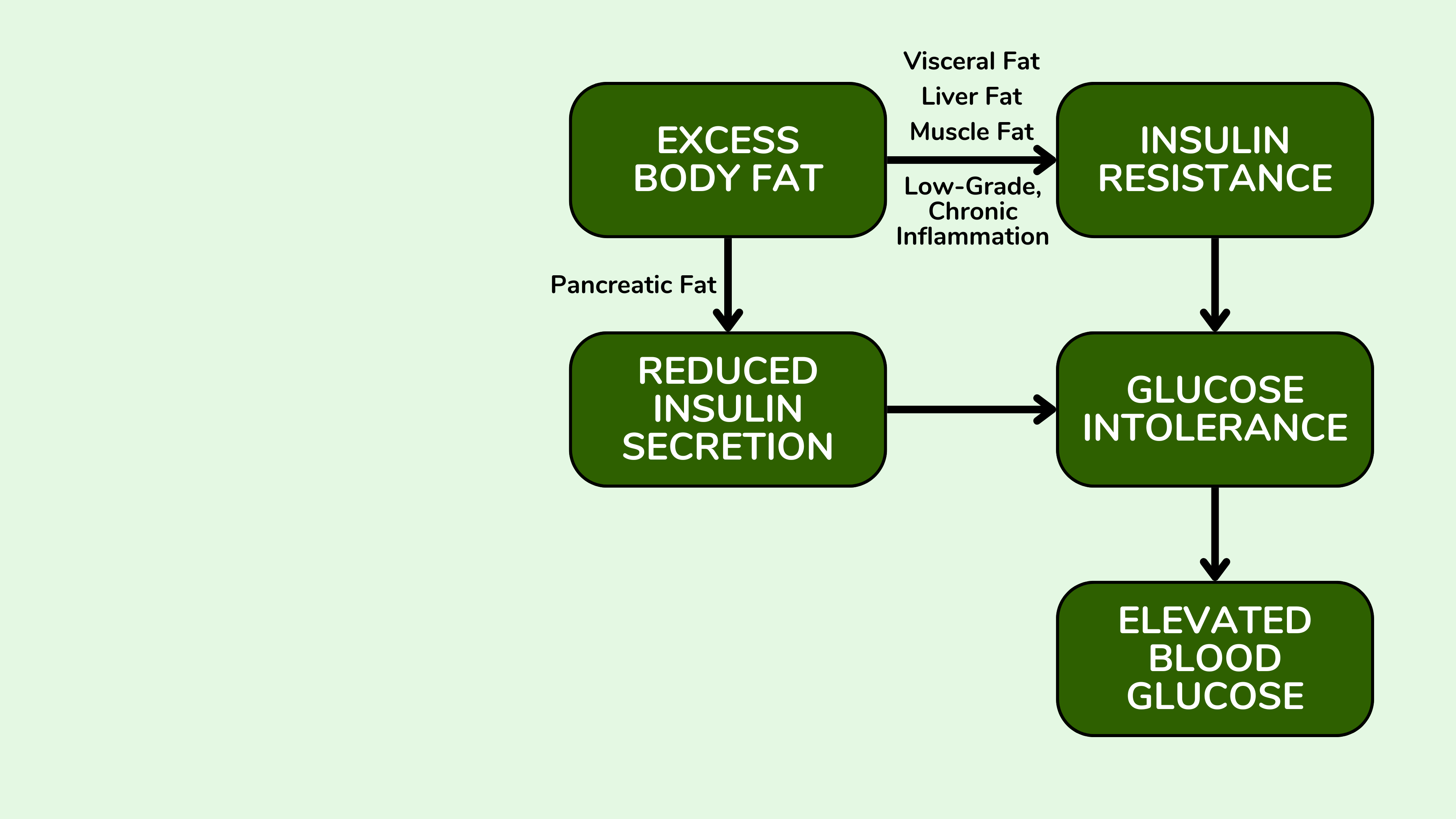 体重过重和脂肪量对血糖水平和葡萄糖耐量决定因素的影响。 体重过重和脂肪量对血糖水平和葡萄糖耐量决定因素的影响。