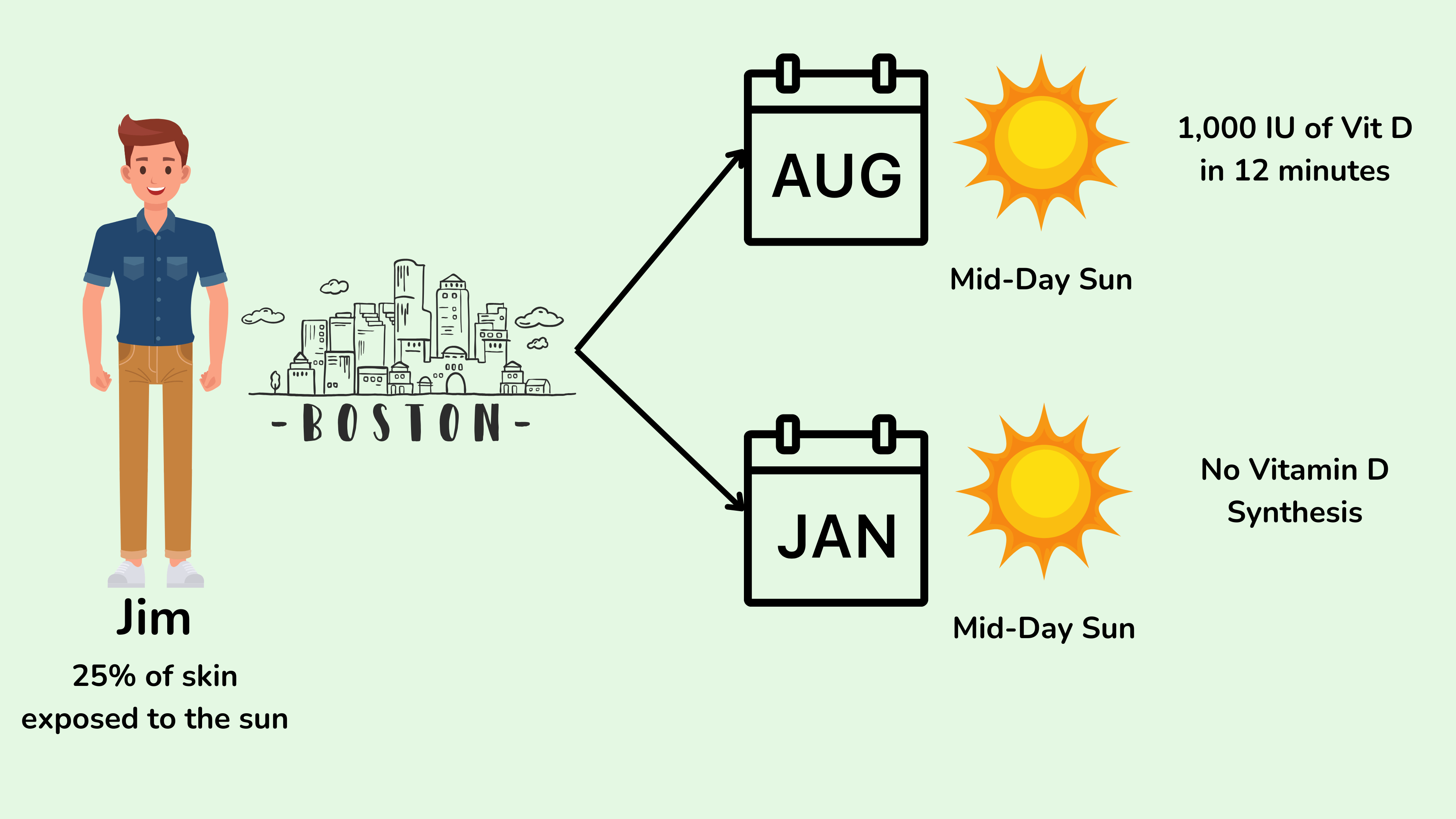 马萨诸塞州波士顿八月和一月晴天时的皮肤维生素 D 合成情况。 马萨诸塞州波士顿八月和一月晴天时的皮肤维生素 D 合成情况。