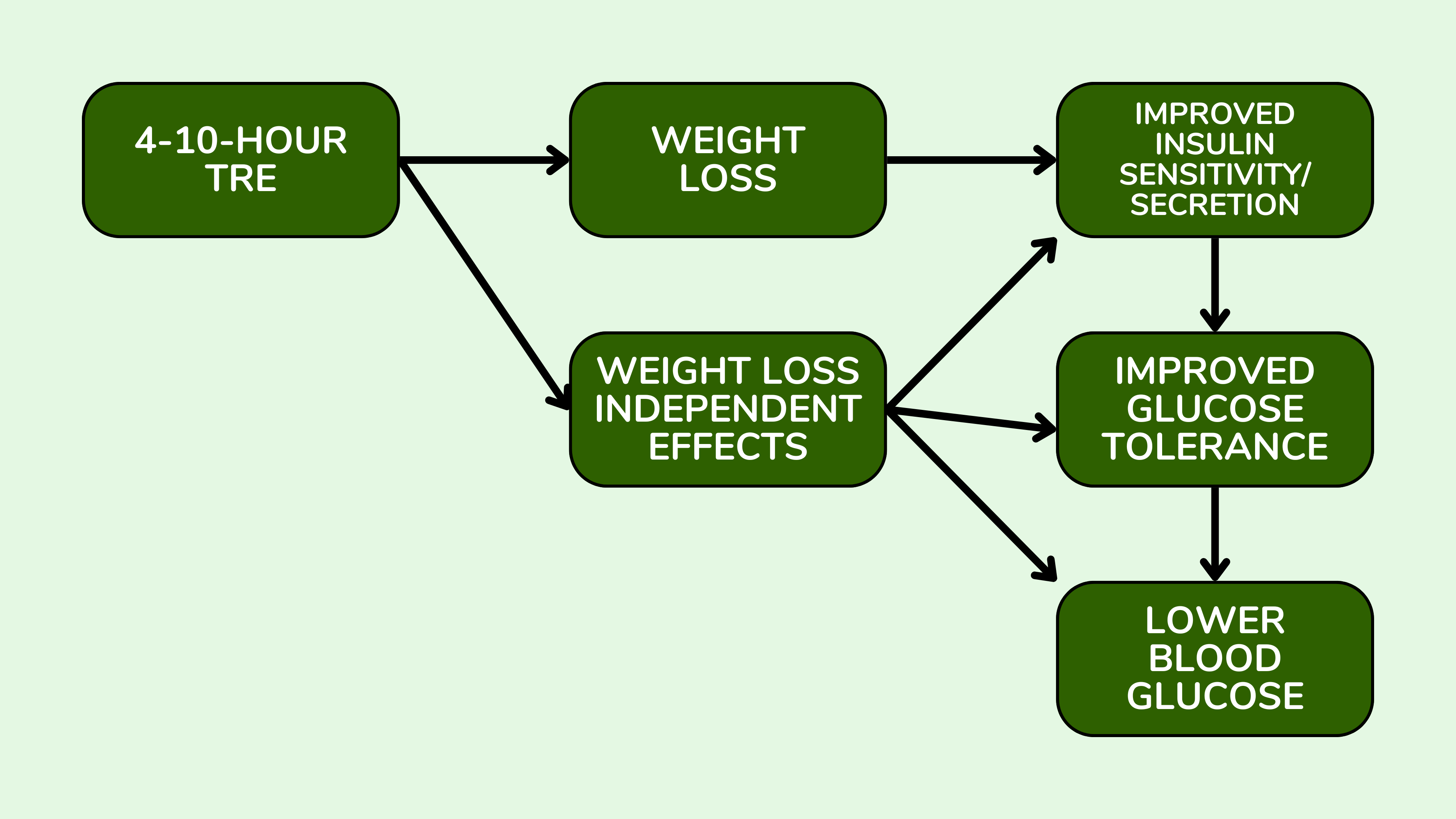 限时饮食(TRE)对葡萄糖耐量和血糖控制的减肥依赖性和独立性影响。 限时饮食(TRE)对葡萄糖耐量和血糖控制的减肥依赖性和独立性影响。