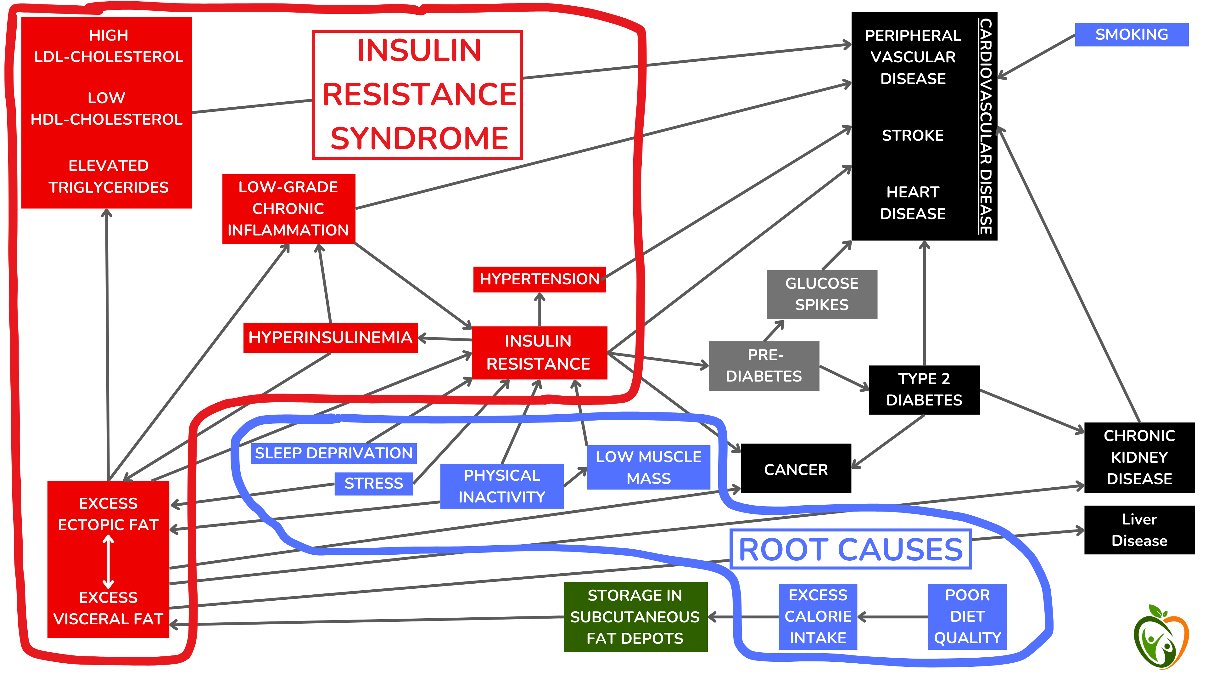 通常,患有 2 型糖尿病、高血压或 LDL 胆固醇水平升高的人会通过药物治疗这些特定病症(高血糖、血压和血液 LDL 胆固醇)。然而,这些风险因素(红色)背后的复杂胰岛素抵抗综合征,或其最常见的根本原因(蓝色)很少得到解决。 通常,患有 2 型糖尿病、高血压或 LDL 胆固醇水平升高的人会通过药物治疗这些特定病症(高血糖、血压和血液 LDL 胆固醇)。然而,这些风险因素(红色)背后的复杂胰岛素抵抗综合征,或其最常见的根本原因(蓝色)很少得到解决。