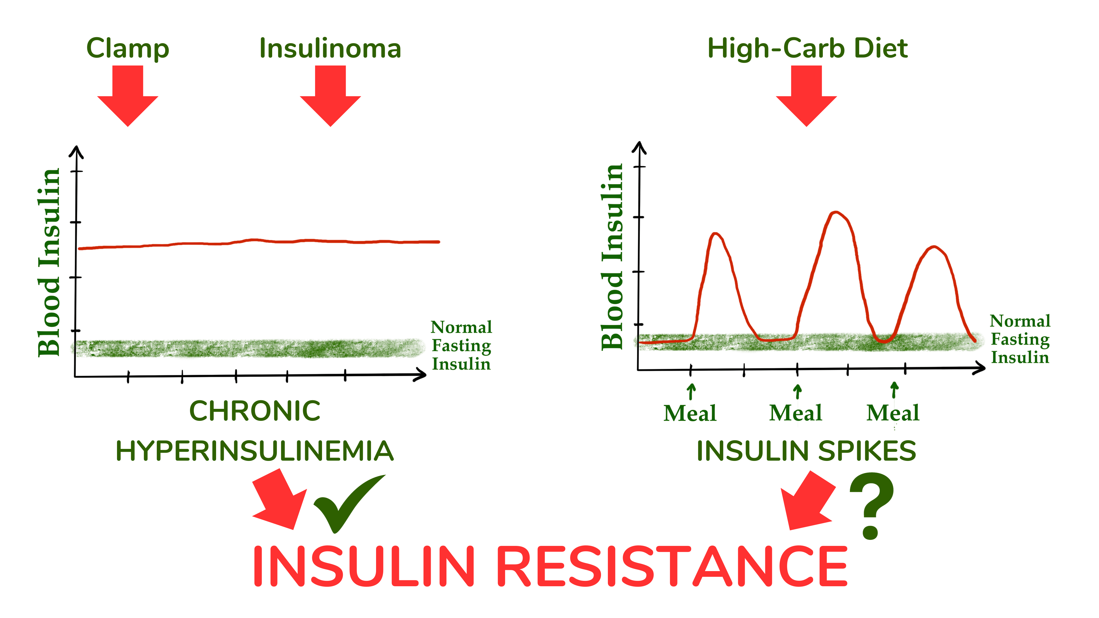 虽然钳夹研究和胰岛素瘤患者表明,长期升高的血液胰岛素浓度会引发胰岛素抵抗,但这些数据不能应用于高碳水化合物饮食人群中血液胰岛素的脉动性暂时增加。 虽然钳夹研究和胰岛素瘤患者表明,长期升高的血液胰岛素浓度会引发胰岛素抵抗,但这些数据不能应用于高碳水化合物饮食人群中血液胰岛素的脉动性暂时增加。
