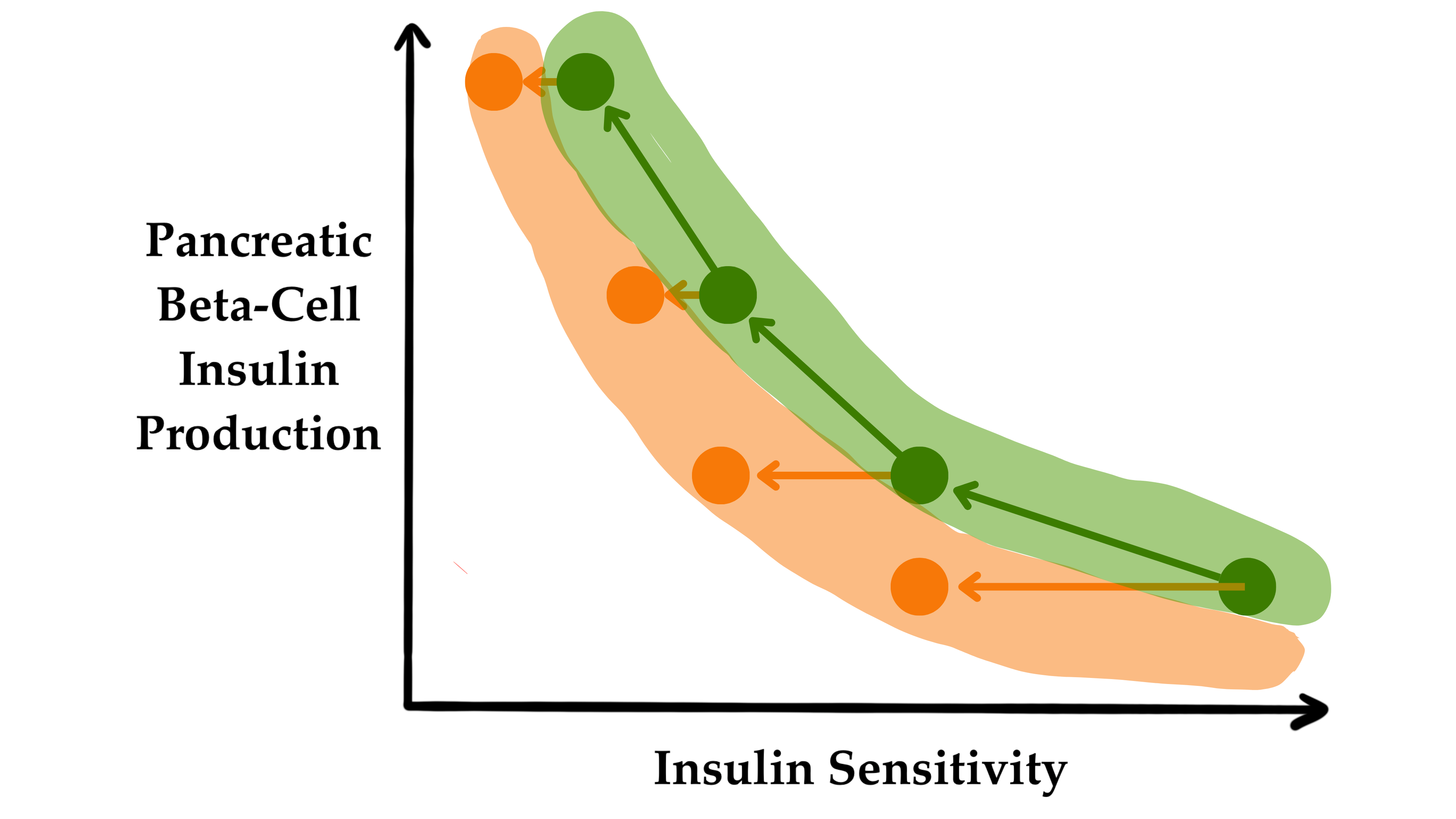 一旦胰岛素分泌无法完全弥补胰岛素敏感性的下降,就会出现葡萄糖不耐受。橙色阴影区域表示葡萄糖耐受性略有下降,类似于糖尿病前期。 一旦胰岛素分泌无法完全弥补胰岛素敏感性的下降,就会出现葡萄糖不耐受。橙色阴影区域表示葡萄糖耐受性略有下降,类似于糖尿病前期。