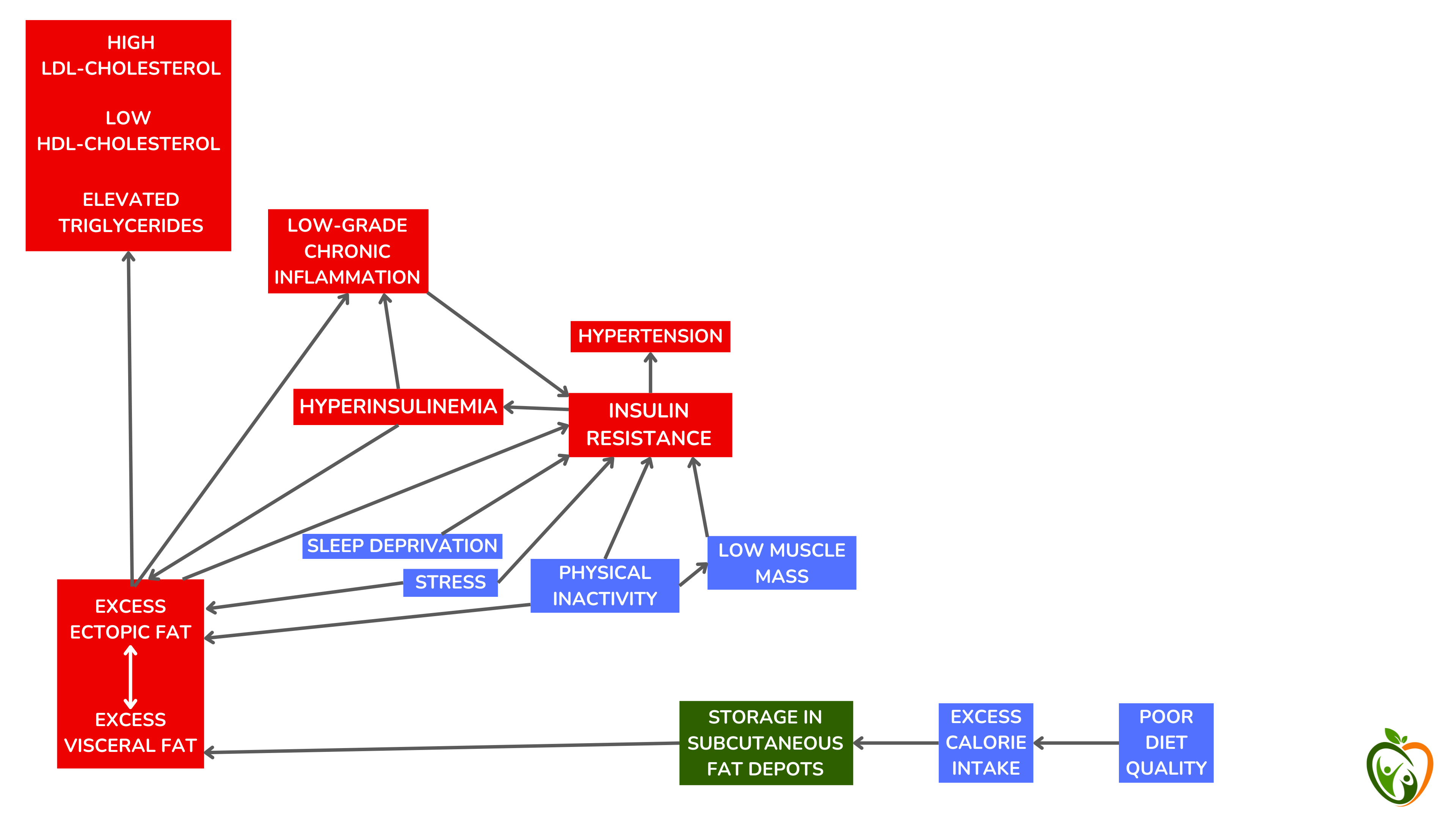 胰岛素抵抗综合征(红色)及其一些最常见的根本原因(蓝色) 胰岛素抵抗综合征(红色)及其一些最常见的根本原因(蓝色)