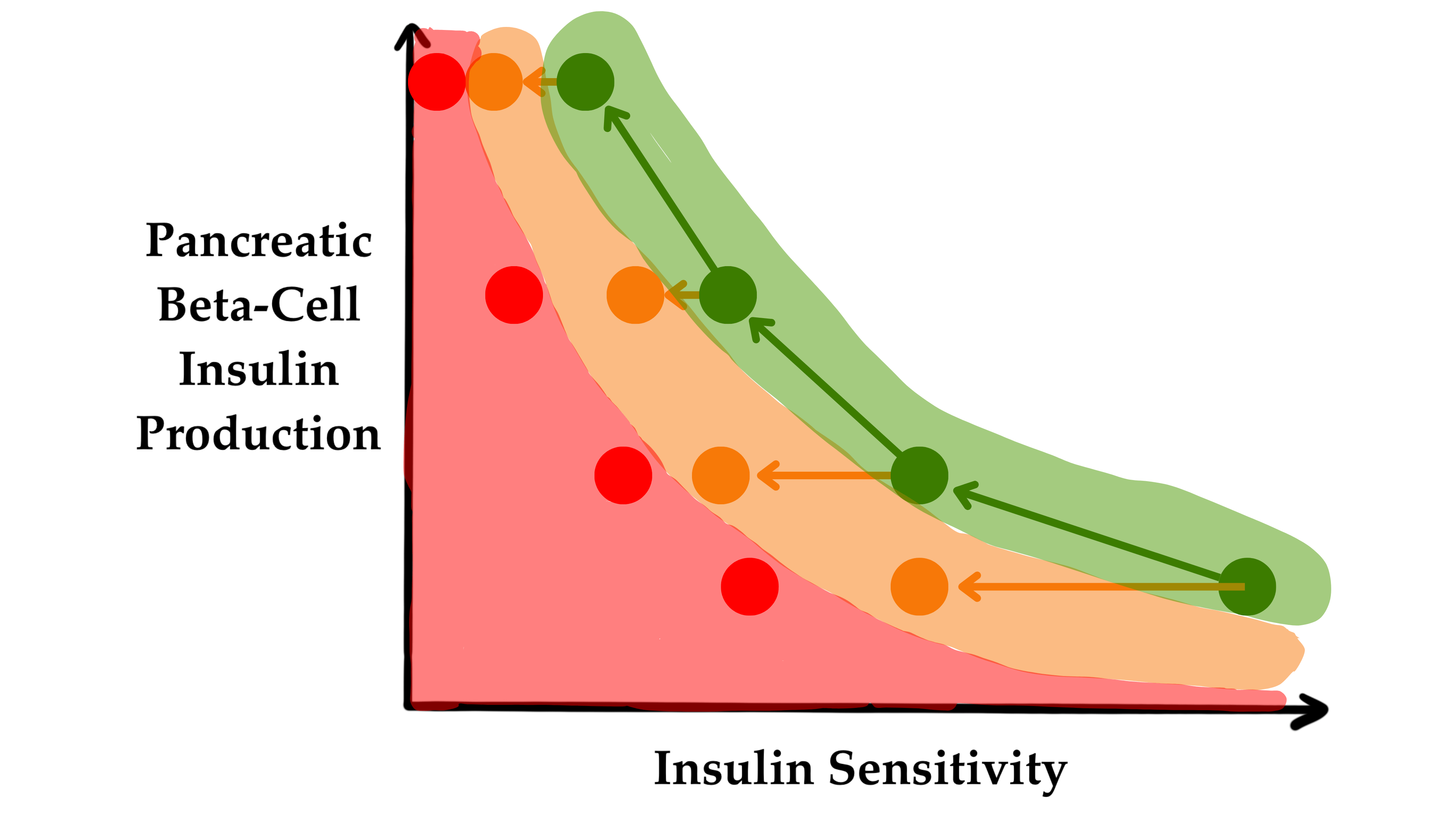一旦胰岛素产量远远不能满足需求,就像红色阴影区域那样,就会出现糖尿病,并且血糖浓度会长期处于升高状态。 一旦胰岛素产量远远不能满足需求,就像红色阴影区域那样,就会出现糖尿病,并且血糖浓度会长期处于升高状态。