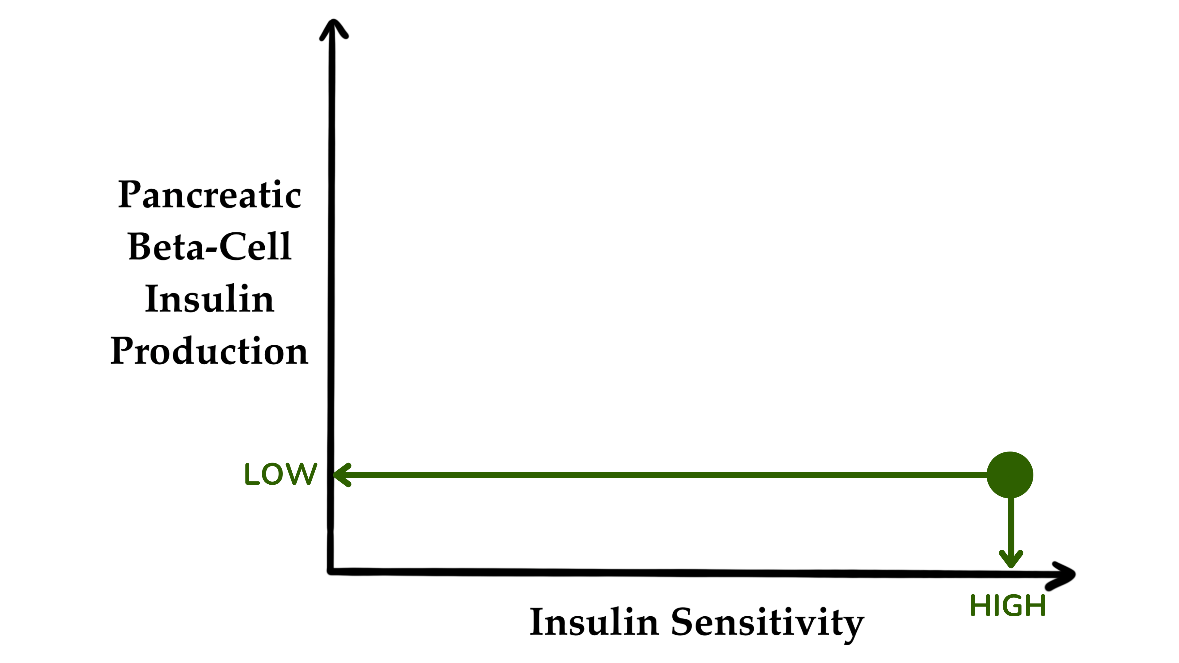 当胰岛素敏感性较高时,胰腺β细胞产生的胰岛素可能会较低 当胰岛素敏感性较高时,胰腺β细胞产生的胰岛素可能会较低
