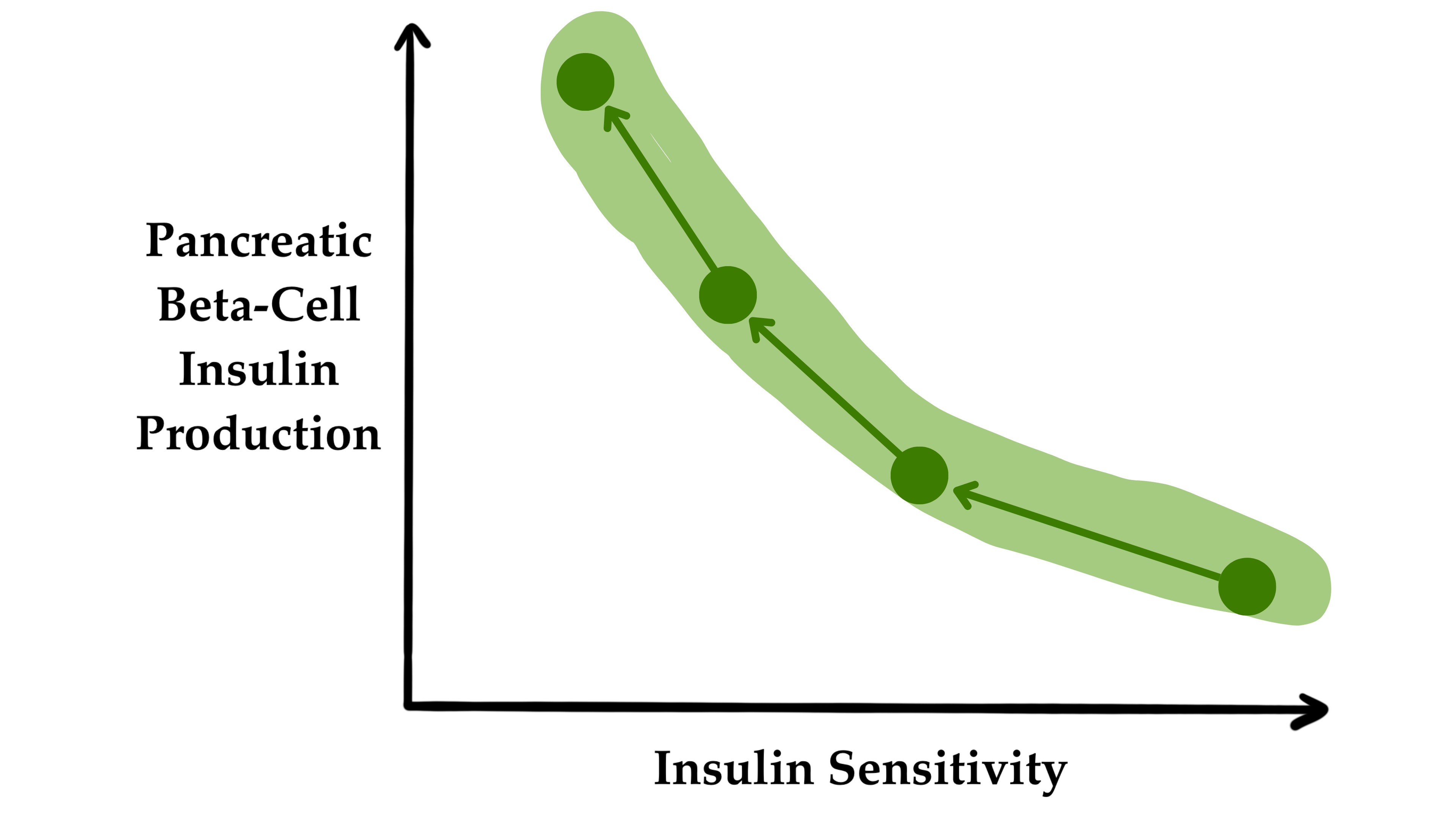 只要胰腺β细胞能够完全补偿胰岛素敏感性的降低(即胰岛素抵抗),即使在胰岛素敏感性较低的情况下,葡萄糖耐量也能保持正常。 只要胰腺β细胞能够完全补偿胰岛素敏感性的降低(即胰岛素抵抗),即使在胰岛素敏感性较低的情况下,葡萄糖耐量也能保持正常。