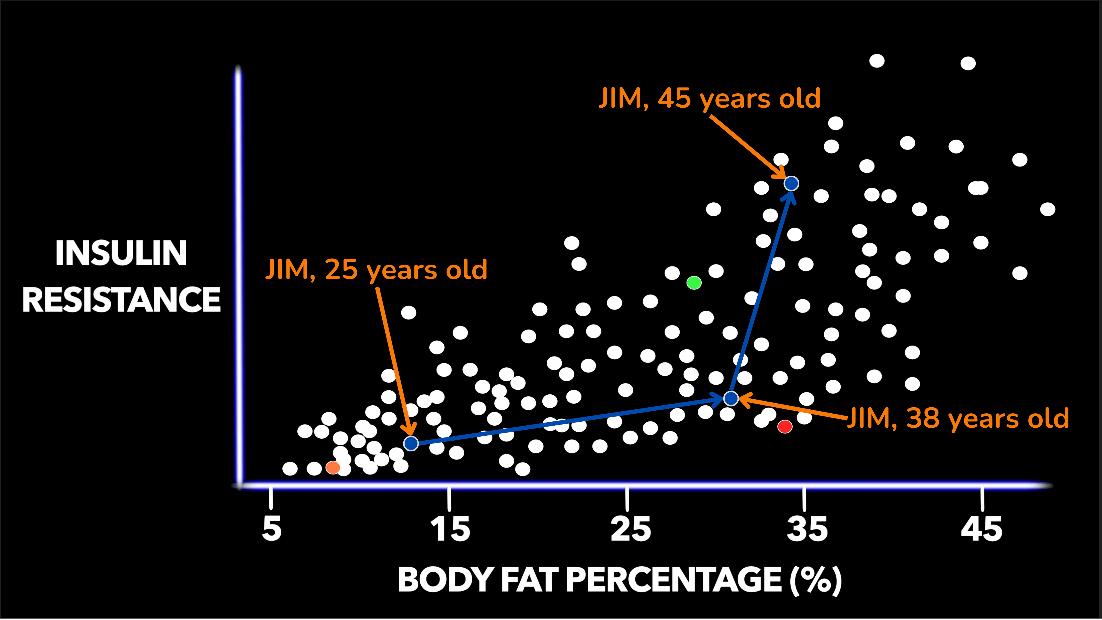吉姆的体脂百分比和胰岛素抵抗的变化 吉姆的体脂百分比和胰岛素抵抗的变化