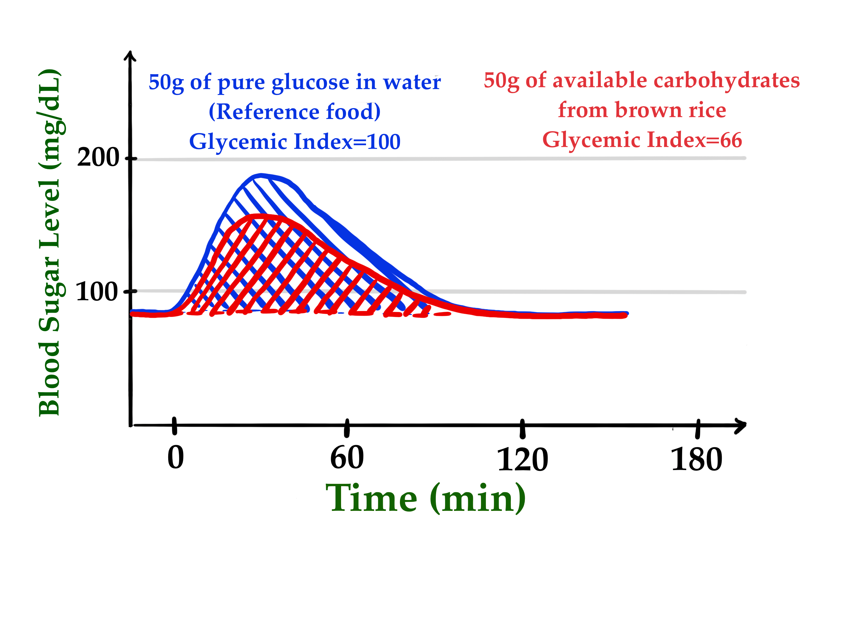 糙米(红色)与参考食品(水中 50 克葡萄糖(蓝色))的血糖反应示例。 糙米(红色)与参考食品(水中 50 克葡萄糖(蓝色))的血糖反应示例。